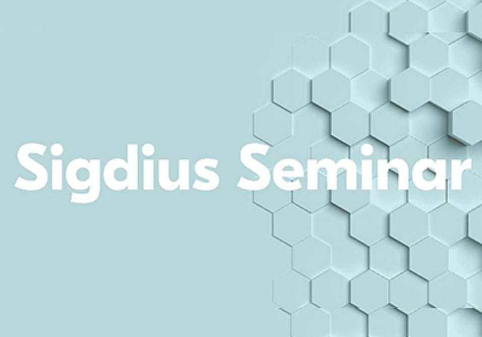 SIGDIUS Seminar