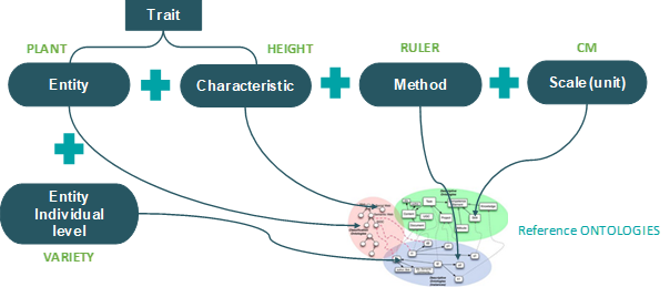 Entity-Characteristic-Method-Unit model 