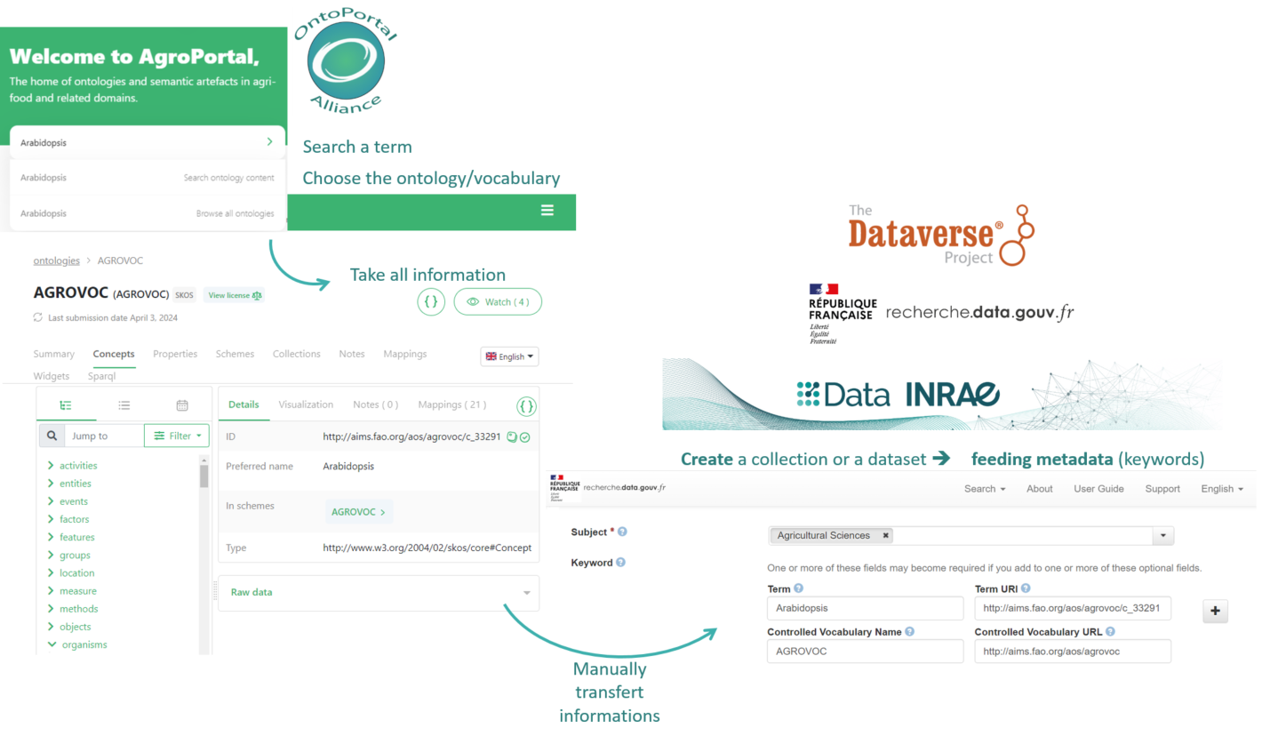 Data INRAE 