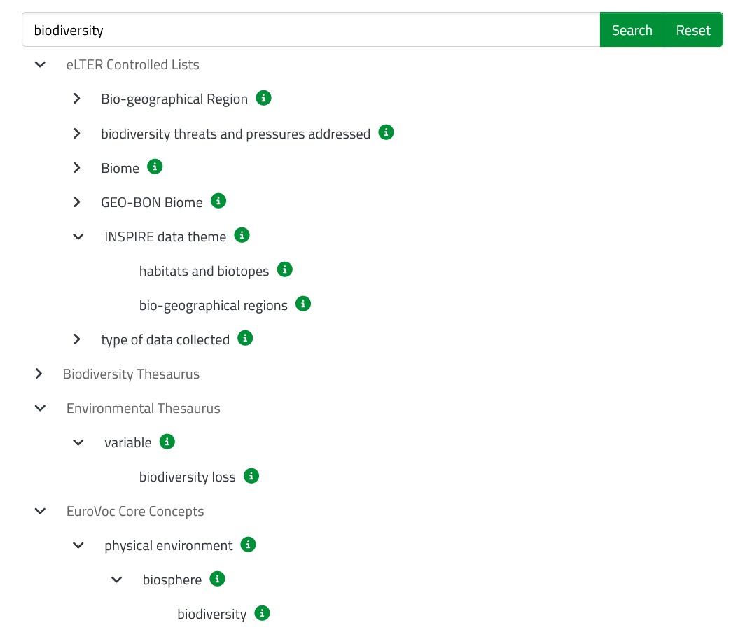 Example search for keywords 